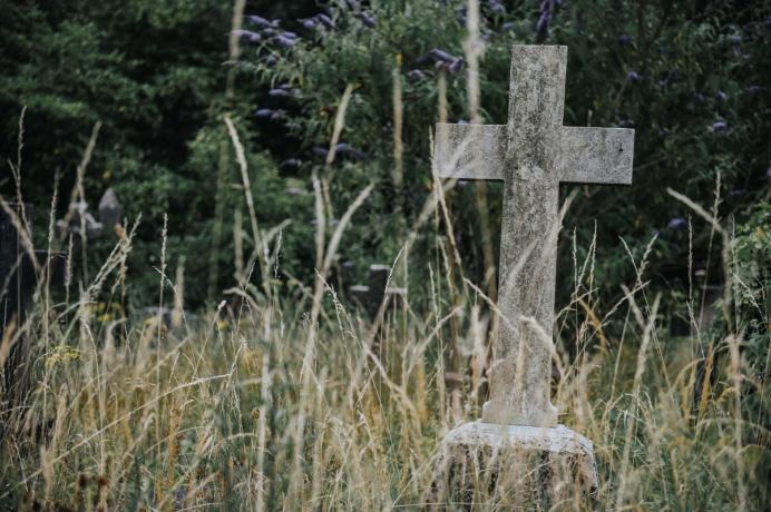 Migrants: refugees rehabilitate three cemeteries in Genoa